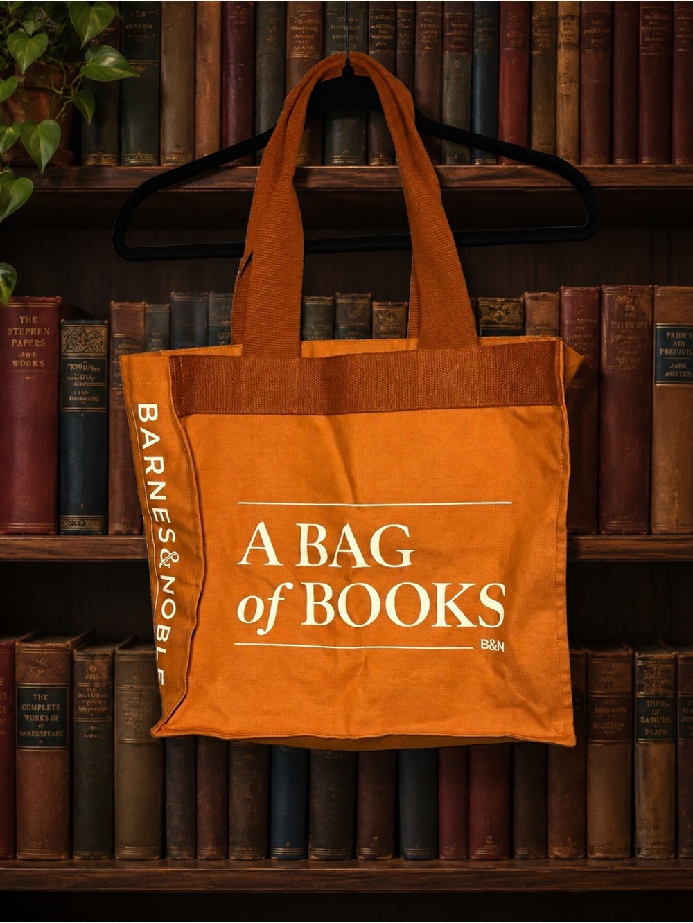 Barnes & Noble x Re-Wrap A Bag of Books Rust Organic Cotton Tote